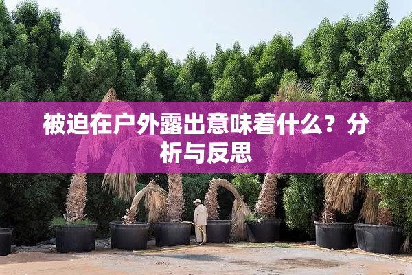 被迫在户外露出意味着什么？分析与反思