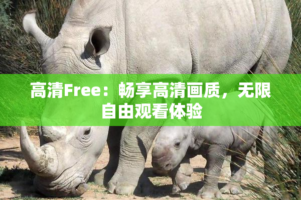 高清Free：畅享高清画质，无限自由观看体验