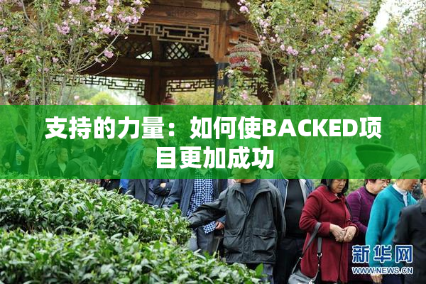 支持的力量：如何使BACKED项目更加成功