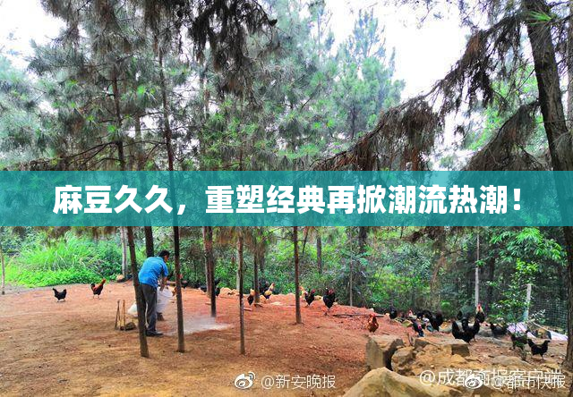 麻豆久久，重塑经典再掀潮流热潮！