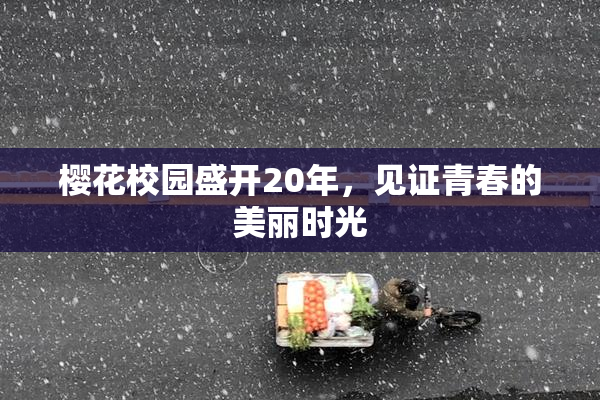 樱花校园盛开20年，见证青春的美丽时光