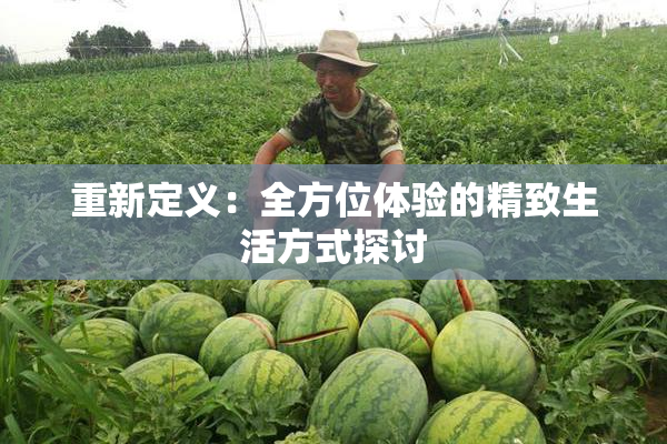 重新定义：全方位体验的精致生活方式探讨