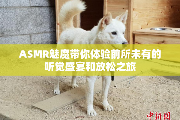 ASMR魅魔带你体验前所未有的听觉盛宴和放松之旅