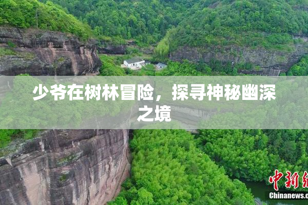 少爷在树林冒险，探寻神秘幽深之境