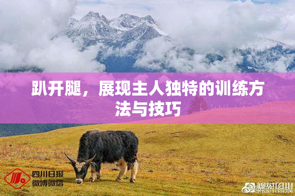 趴开腿，展现主人独特的训练方法与技巧