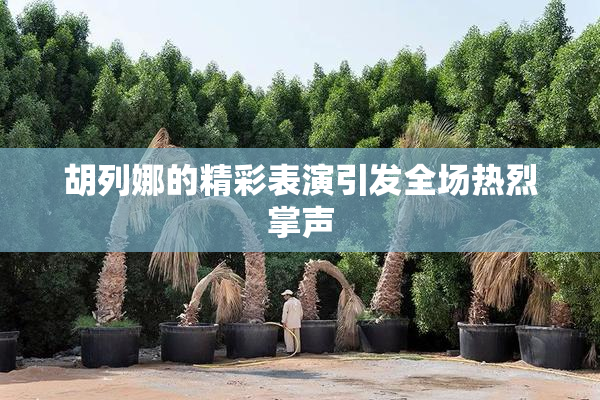 胡列娜的精彩表演引发全场热烈掌声