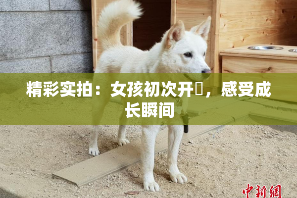 精彩实拍：女孩初次开笣，感受成长瞬间