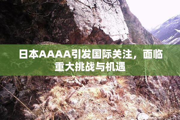 日本AAAA引发国际关注，面临重大挑战与机遇