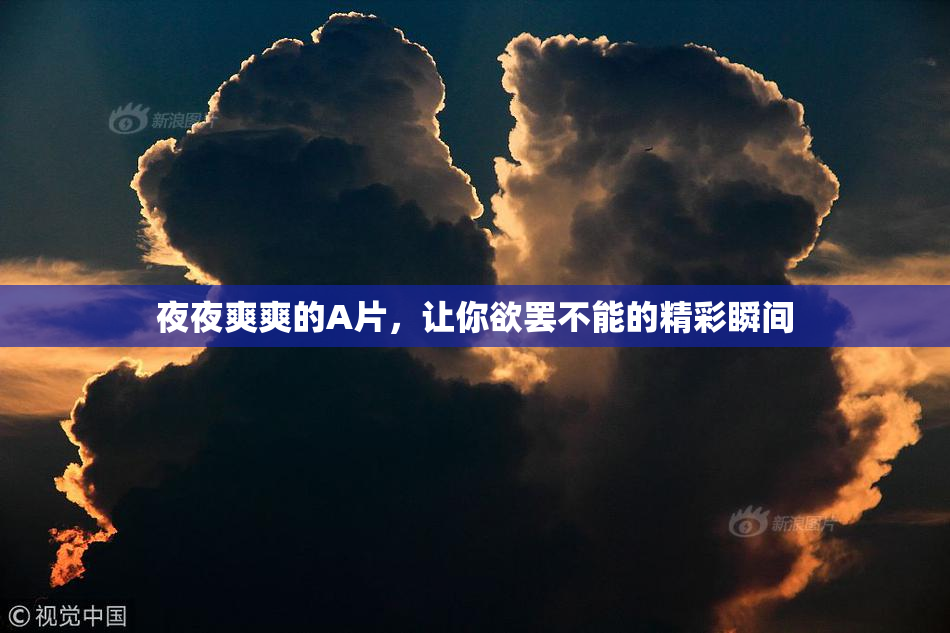 夜夜爽爽的A片，让你欲罢不能的精彩瞬间