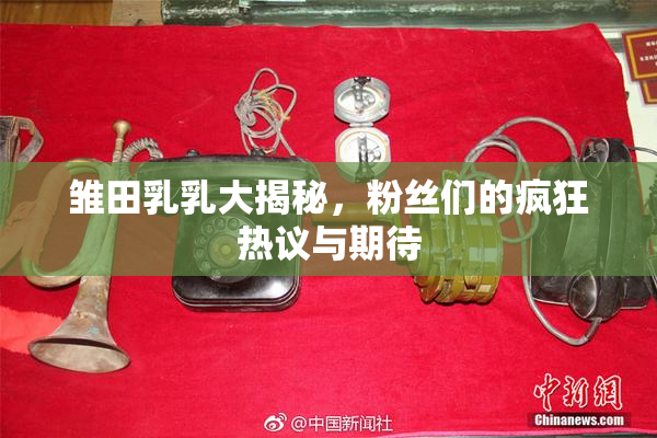 雏田乳乳大揭秘，粉丝们的疯狂热议与期待