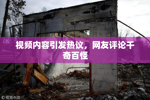视频内容引发热议，网友评论千奇百怪