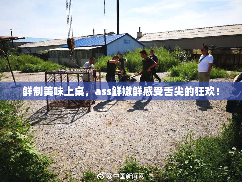 鲜制美味上桌，ass鲜嫩鲜感受舌尖的狂欢！