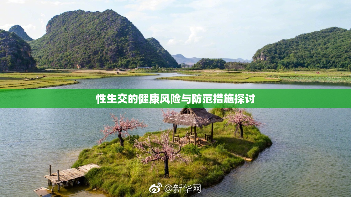 性生交的健康风险与防范措施探讨