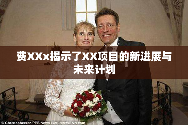 费XXx揭示了XX项目的新进展与未来计划
