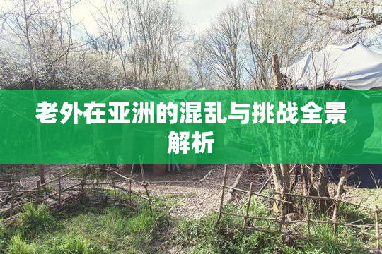 老外在亚洲的混乱与挑战全景解析