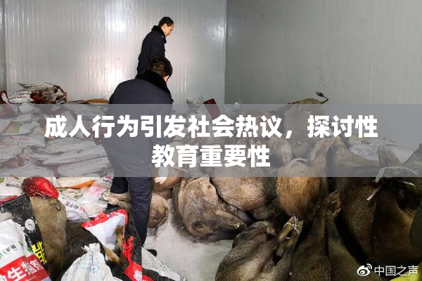 成人行为引发社会热议，探讨性教育重要性