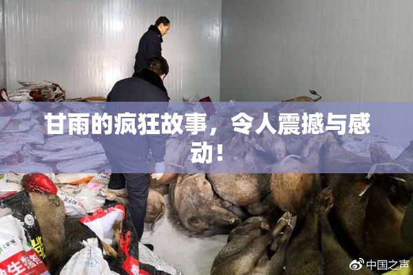 甘雨的疯狂故事，令人震撼与感动！