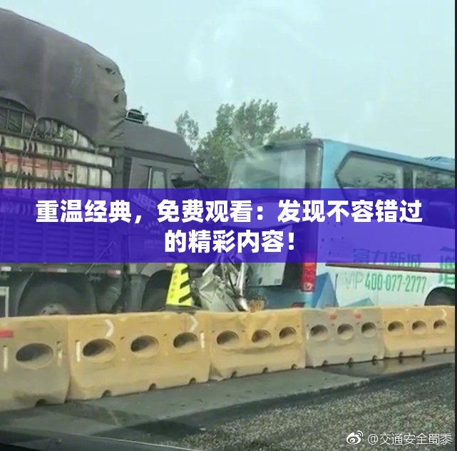 重温经典，免费观看：发现不容错过的精彩内容！