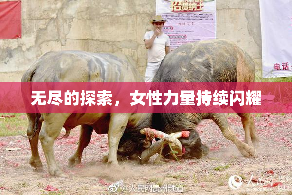 无尽的探索，女性力量持续闪耀