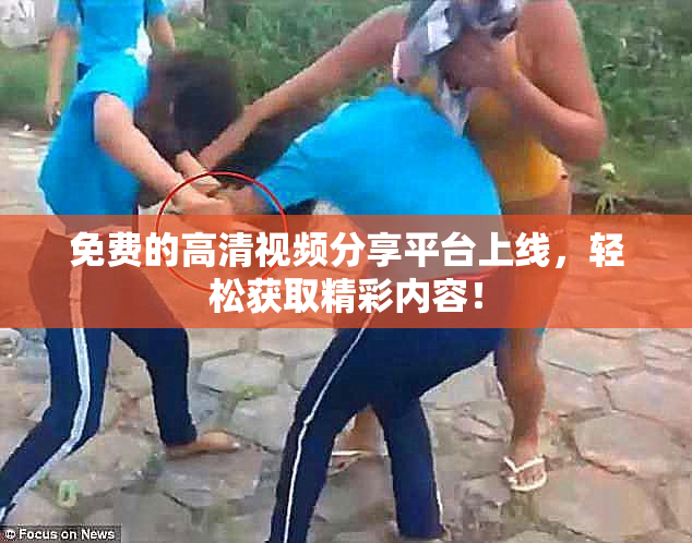 免费的高清视频分享平台上线，轻松获取精彩内容！