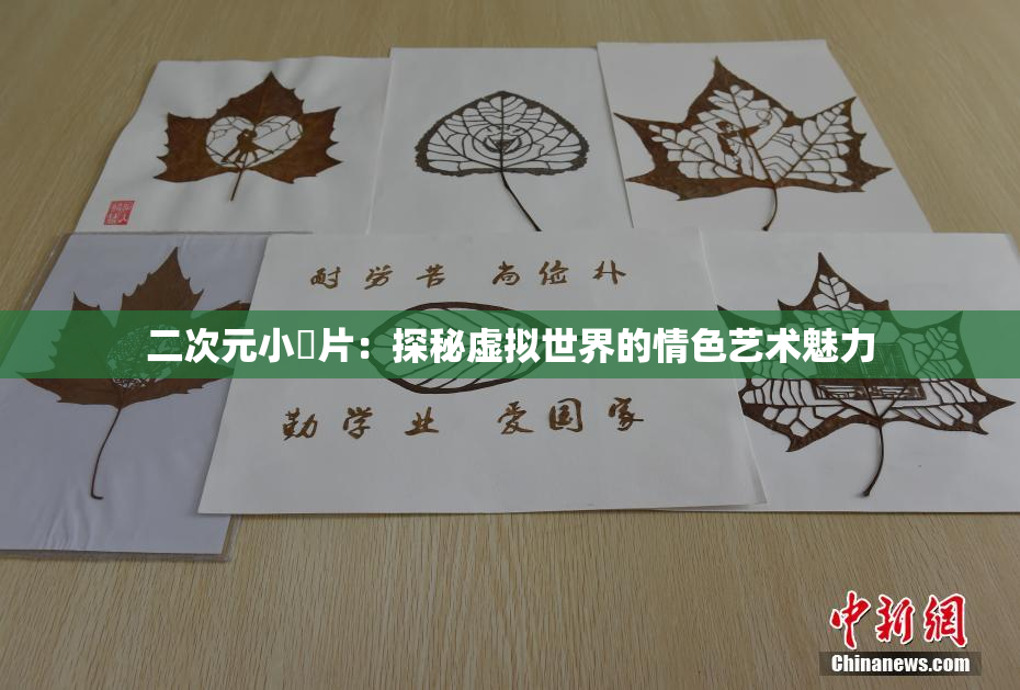 二次元小黃片：探秘虚拟世界的情色艺术魅力