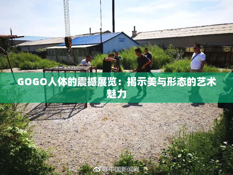 GOGO人体的震撼展览：揭示美与形态的艺术魅力