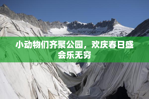 小动物们齐聚公园，欢庆春日盛会乐无穷