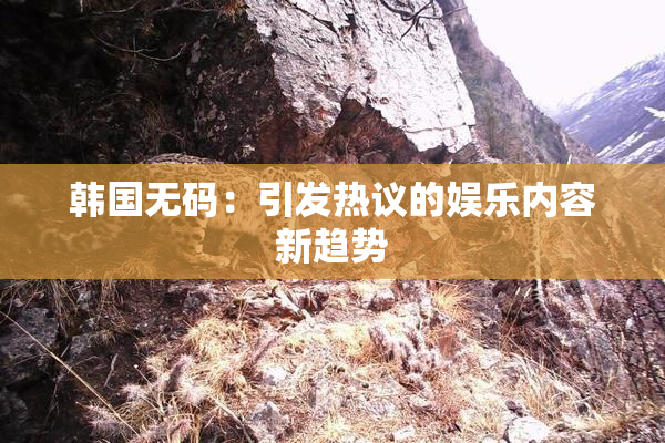 韩国无码：引发热议的娱乐内容新趋势