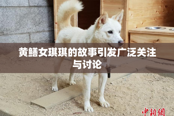 黄鳝女琪琪的故事引发广泛关注与讨论