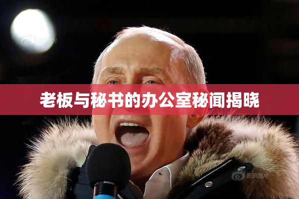 老板与秘书的办公室秘闻揭晓