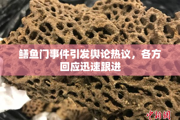 鳝鱼门事件引发舆论热议，各方回应迅速跟进