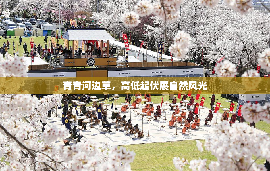 青青河边草，高低起伏展自然风光