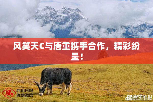 风笑天C与唐重携手合作，精彩纷呈！