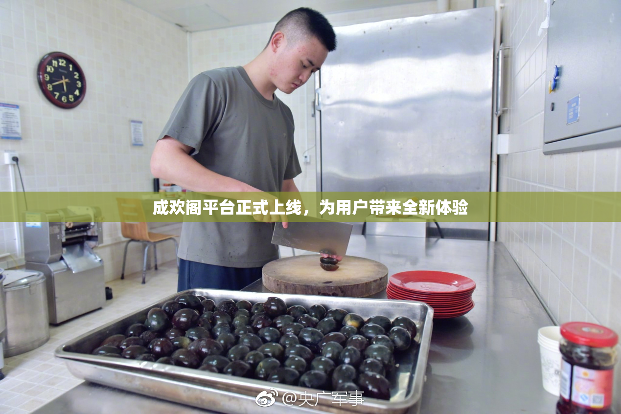 成欢阁平台正式上线，为用户带来全新体验