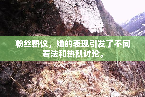 粉丝热议，她的表现引发了不同看法和热烈讨论。
