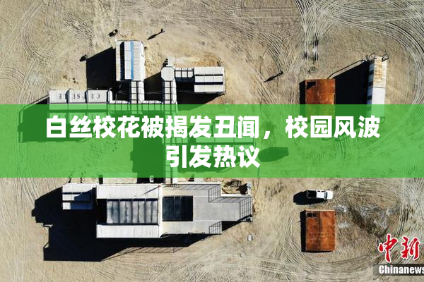 白丝校花被揭发丑闻，校园风波引发热议