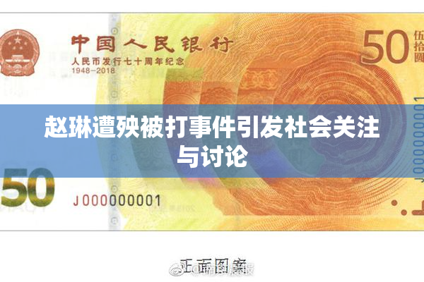 赵琳遭殃被打事件引发社会关注与讨论