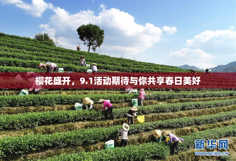 樱花盛开，9.1活动期待与你共享春日美好