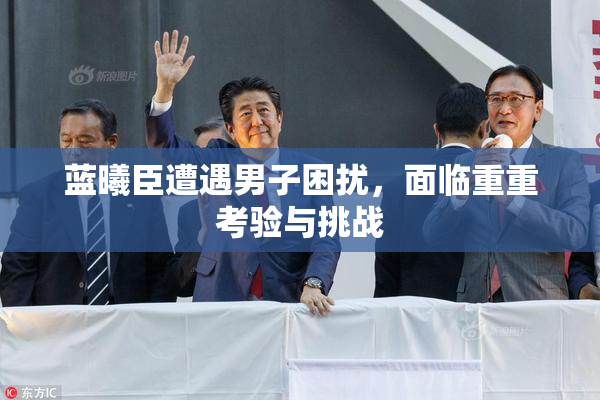 蓝曦臣遭遇男子困扰，面临重重考验与挑战