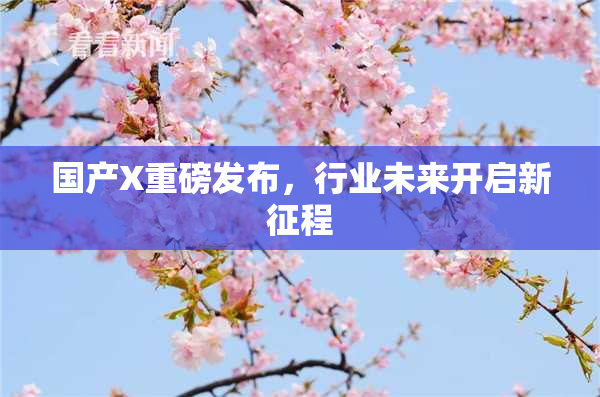 国产X重磅发布，行业未来开启新征程