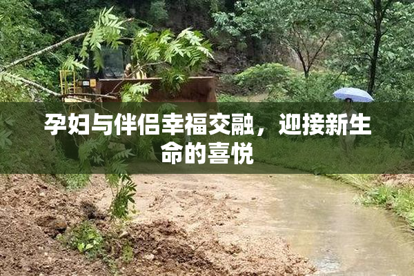 孕妇与伴侣幸福交融，迎接新生命的喜悦