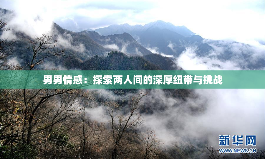 男男情感：探索两人间的深厚纽带与挑战
