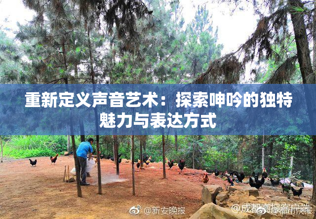 重新定义声音艺术：探索呻吟的独特魅力与表达方式