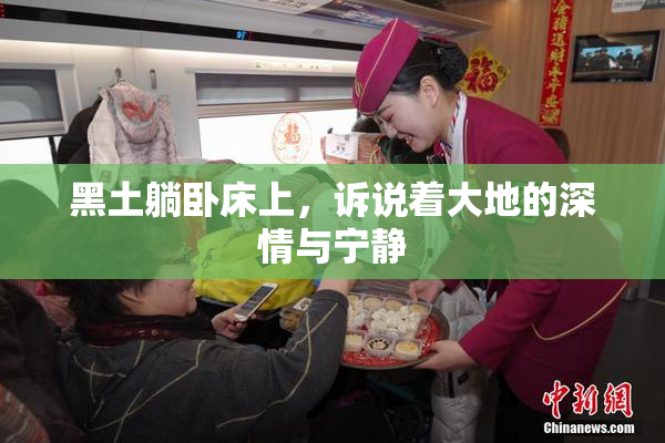 黑土躺卧床上，诉说着大地的深情与宁静
