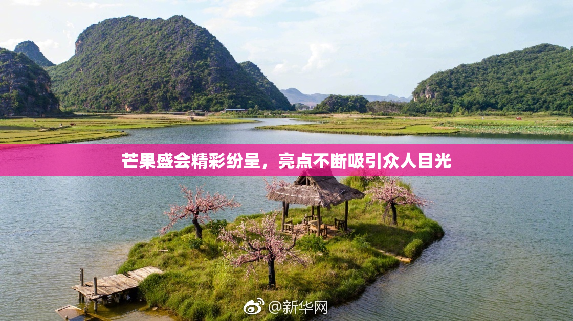 芒果盛会精彩纷呈，亮点不断吸引众人目光