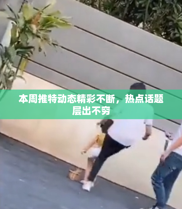 本周推特动态精彩不断，热点话题层出不穷
