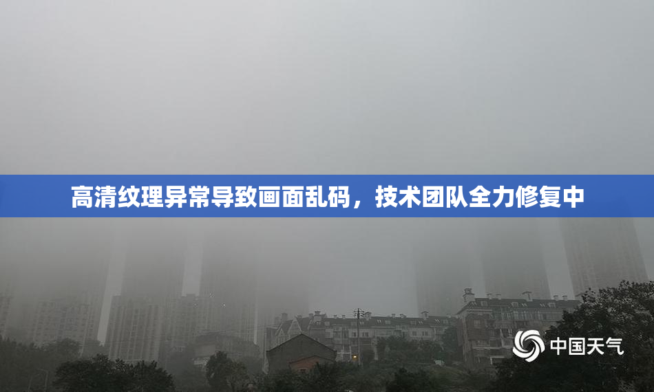 高清纹理异常导致画面乱码，技术团队全力修复中