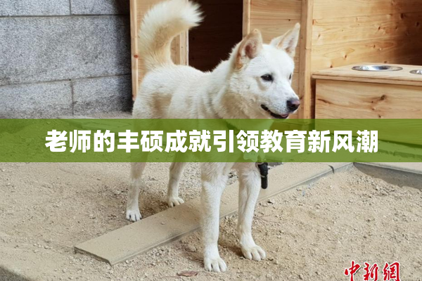 老师的丰硕成就引领教育新风潮
