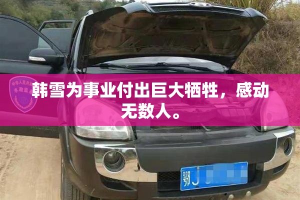 韩雪为事业付出巨大牺牲，感动无数人。