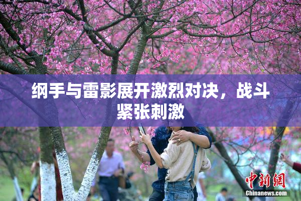 纲手与雷影展开激烈对决，战斗紧张刺激